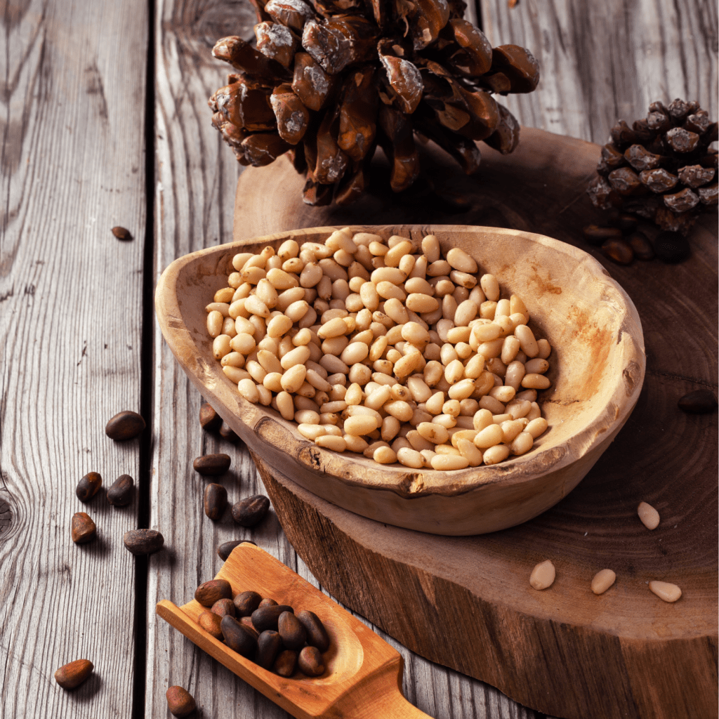 LEARN ABOUT PINE&nbsp;NUTS